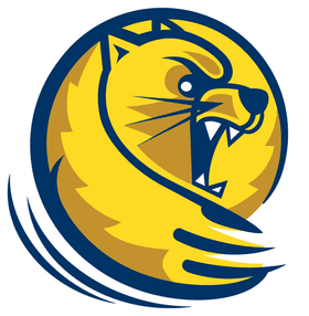 Lander University banner logo