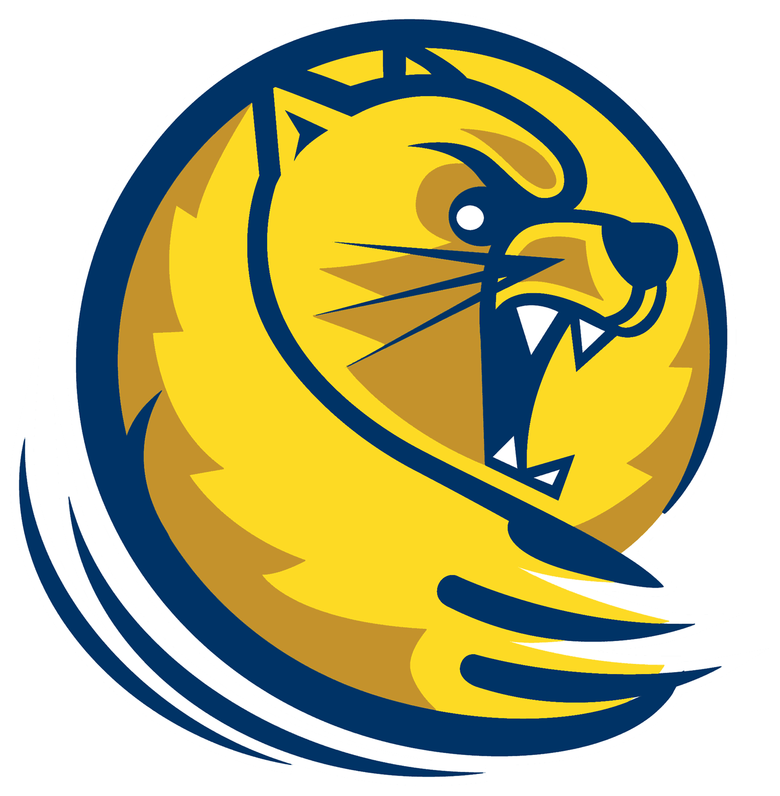 Lander University